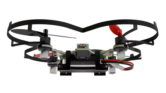 The Birth of an Autonomous Drone