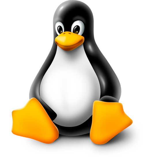 CodeSpace on Linux