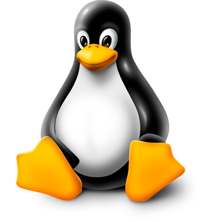 CodeSpace on Linux