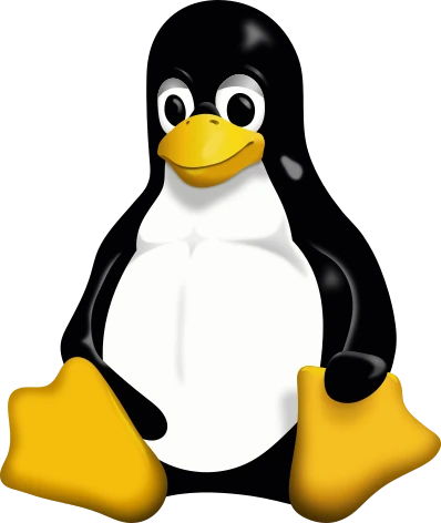 CodeSpace on Linux