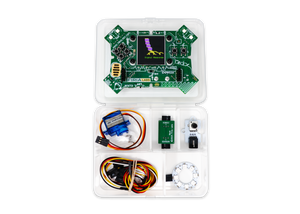 Brain DeCoded with CodeX Kit